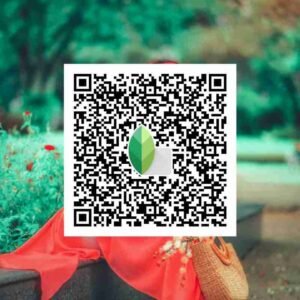 Snapseed photo editing